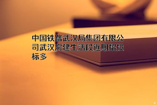 中国铁路武汉局集团有限公司武汉房建生活段