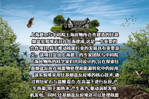 中国科学院上海应用物理研究所