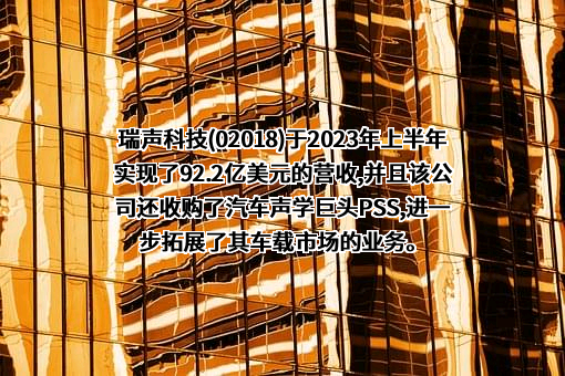 瑞声科技控股股份有限公司