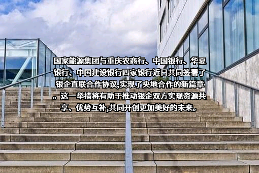 国家能源投资集团有限责任公司