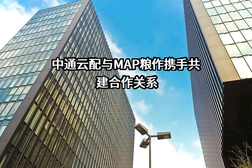 中通云配供应链有限公司