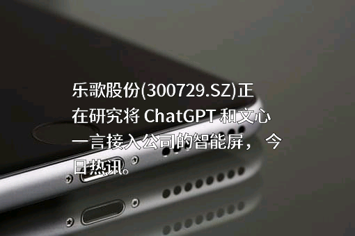 乐歌人体工学科技股份有限公司