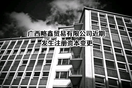 广西略鑫贸易有限公司