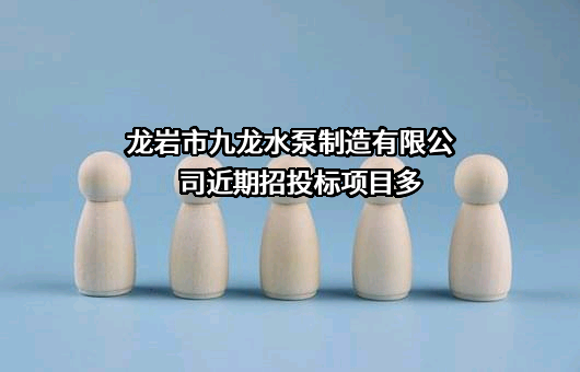 龙岩市九龙水泵制造有限公司
