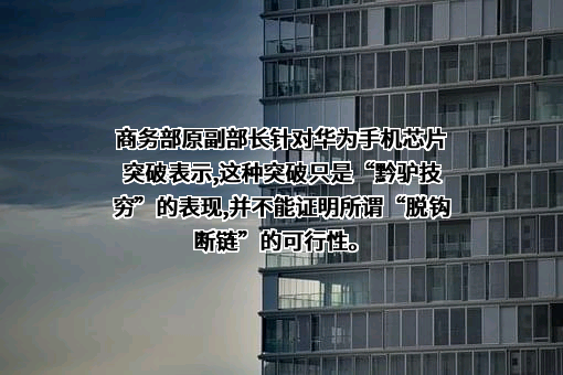 华为技术有限公司