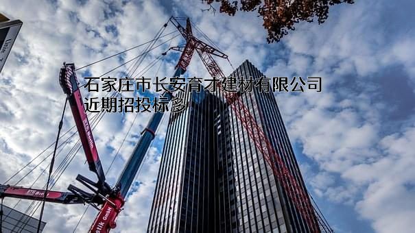 石家庄市长安育才建材有限公司