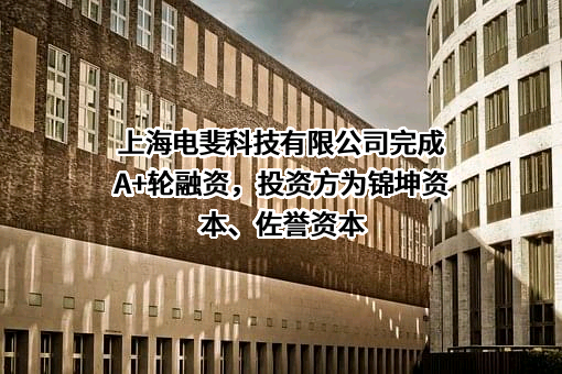 上海电斐科技有限公司