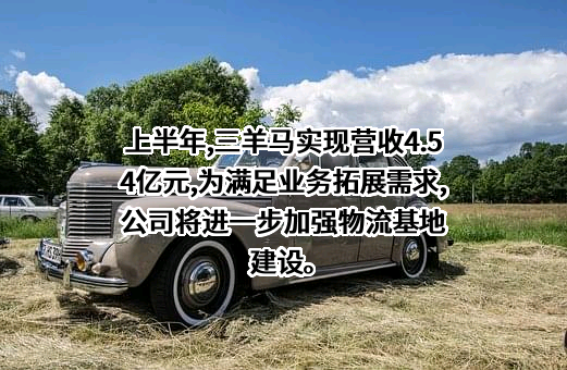 三羊马（重庆）物流股份有限公司