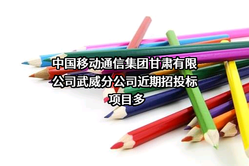 中国移动通信集团甘肃有限公司武威分公司