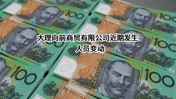 大理向前商贸有限公司