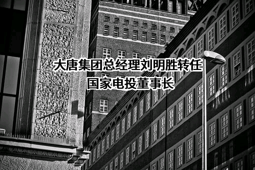 国家电力投资集团有限公司