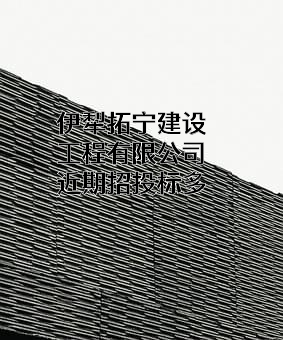 伊犁拓宁建设工程有限公司