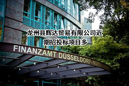龙州县辉达贸易有限公司