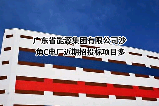 广东省能源集团有限公司沙角C电厂
