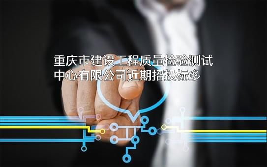 重庆市建设工程质量检验测试中心有限公司