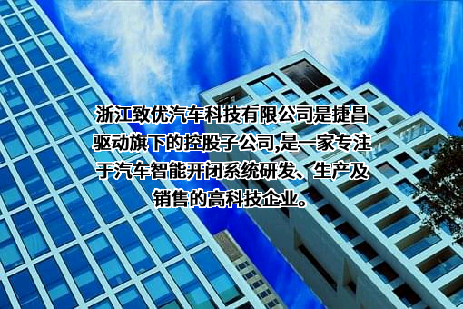浙江致优汽车科技有限公司