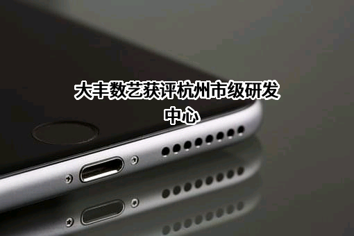 浙江大丰数艺科技有限公司