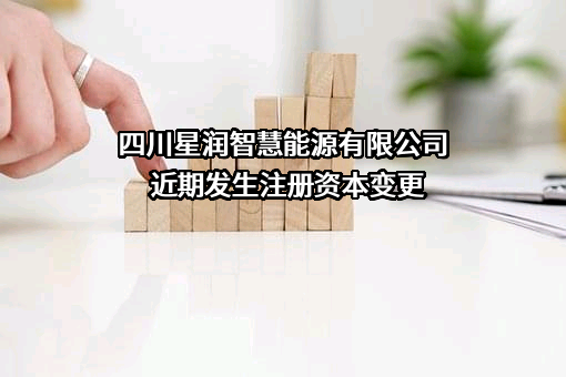 四川星润智慧能源有限公司