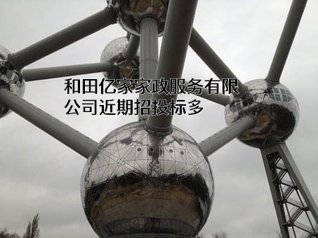 和田亿家家政服务有限公司