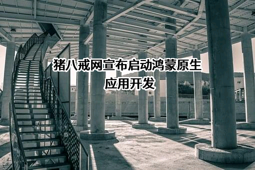 猪八戒股份有限公司