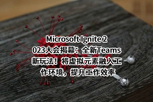 微软（中国）有限公司