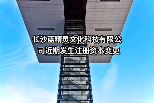 长沙蓝精灵文化科技有限公司