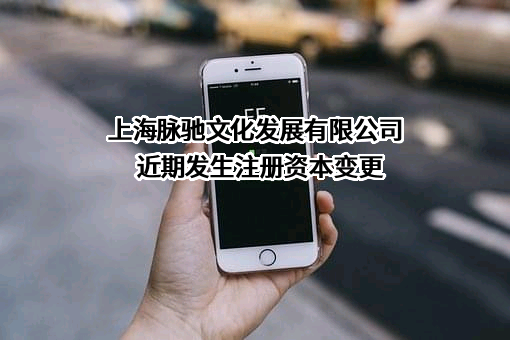 上海脉驰文化发展有限公司