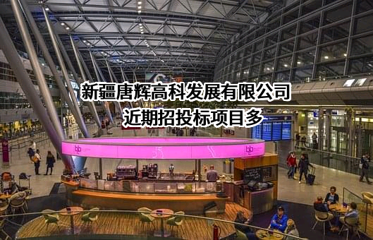 新疆唐辉高科发展有限公司