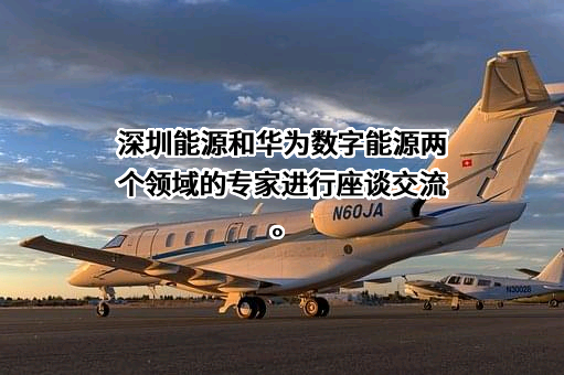 深圳能源集团股份有限公司