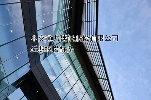 中交通力建设股份有限公司