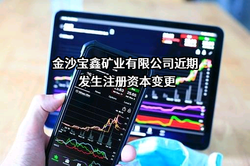 金沙宝鑫矿业有限公司