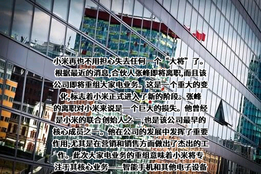 小米科技有限责任公司