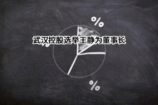 武汉三镇实业控股股份有限公司