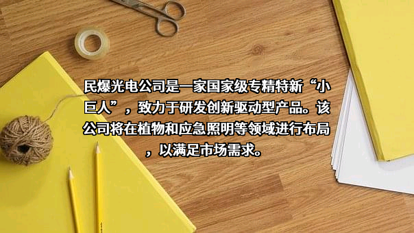 深圳民爆光电股份有限公司