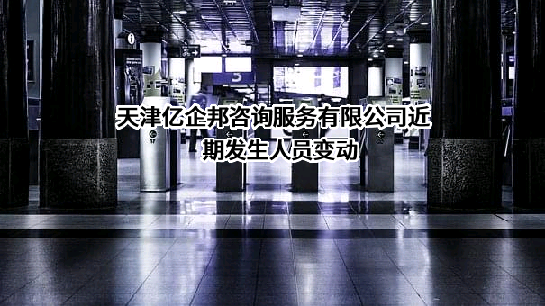天津亿企邦咨询服务有限公司