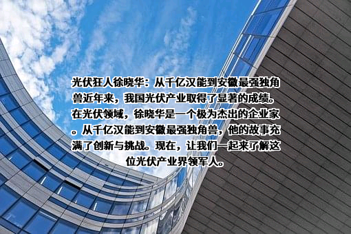 安徽华晟新能源科技有限公司