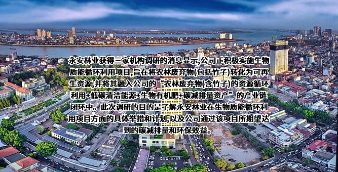 福建省永安林业（集团）股份有限公司