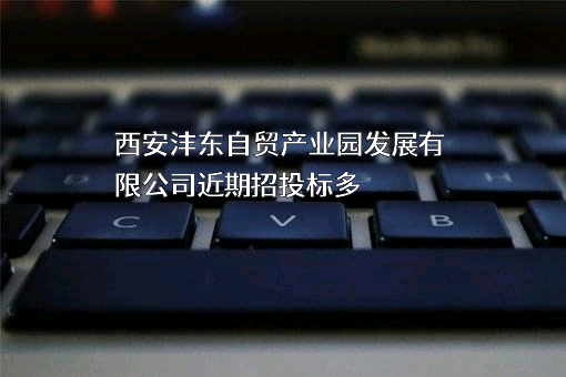 西安沣东自贸产业园发展有限公司