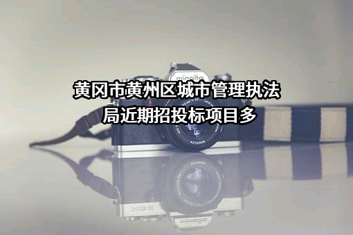 黄冈市黄州区城市管理执法局