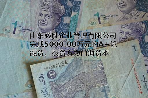 山东必胜企业管理有限公司