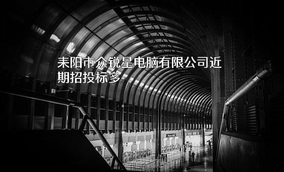 耒阳市众锐星电脑有限公司