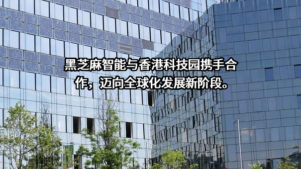 黑芝麻智能科技（上海）有限公司
