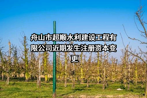 舟山市超顺水利建设工程有限公司