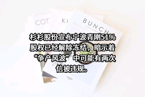 宁波杉杉股份有限公司