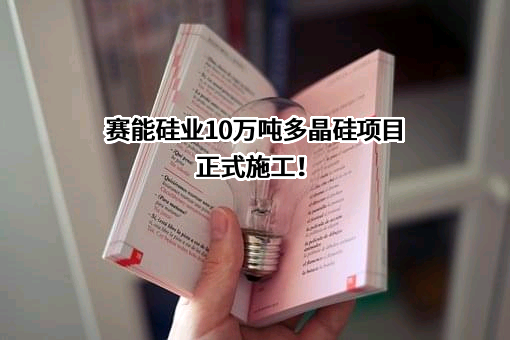 河南赛能硅业有限公司
