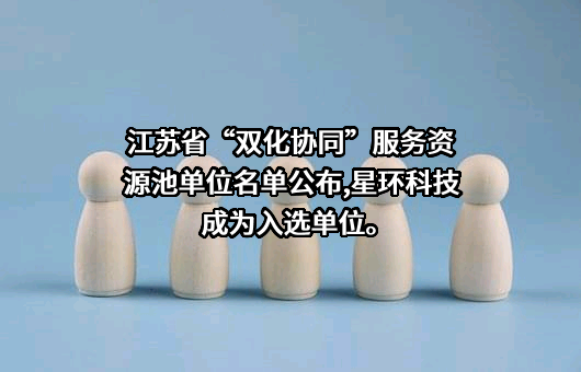 星环信息科技（上海）股份有限公司