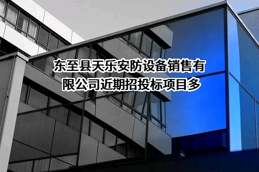 东至县天乐安防设备销售有限公司近期招投标项目多