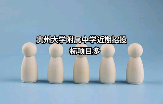 贵州大学附属中学