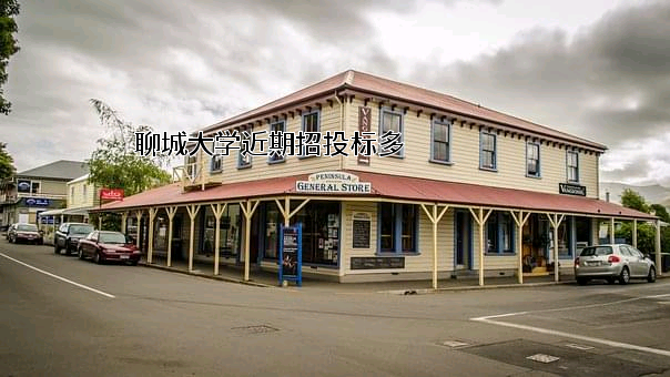 聊城大学