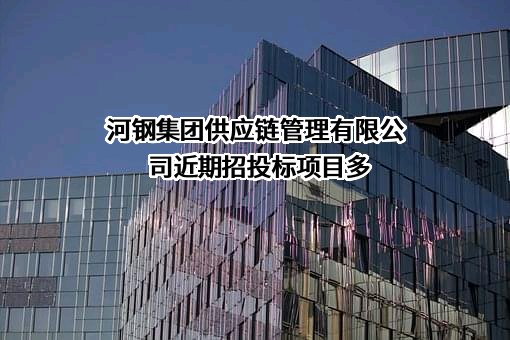 河钢集团供应链管理有限公司近期招投标项目多